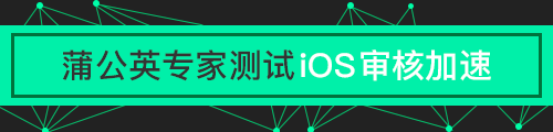 蒲公英