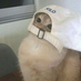 juoyi