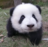 qlin