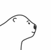fengc