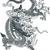 python2dragon