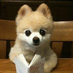 chenyaobin7