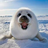 flyFatSeal