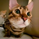 Heeee