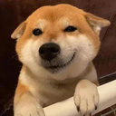 mackyuqi