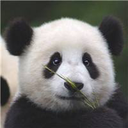 xieyunzi