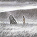 shidenggui
