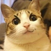 vikeria