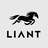 liantdev