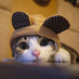 leobuf