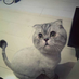 hellocooltom