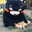 trotyoung