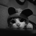 neonyneon