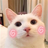 wjwyz