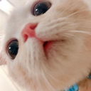 MancyLee