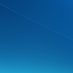 acuteeagle