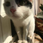 boolean93