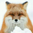 nawsix