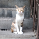 sticki