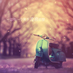 lindow