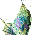 iButterfly