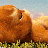 simplecloud
