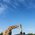 bycircle4