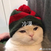 yorksonchang