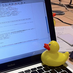 d0na1dduck
