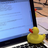 d0na1dduck