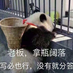 baolan0po