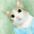 anion