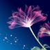 Anzen