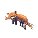 Bears