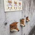 bitpeach