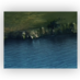genitark