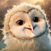 cxliang