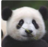 GuangdongSoros