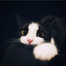 LuckyDee