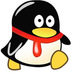 ersic