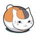 enze0643