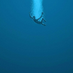 DreamTime