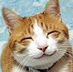 dazebat