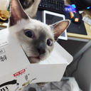 czita