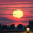 Akiahabara
