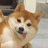 DonnyLiu
