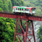 wanlihong337