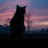 coderlxc