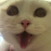 Mowd