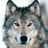 shadowwolf